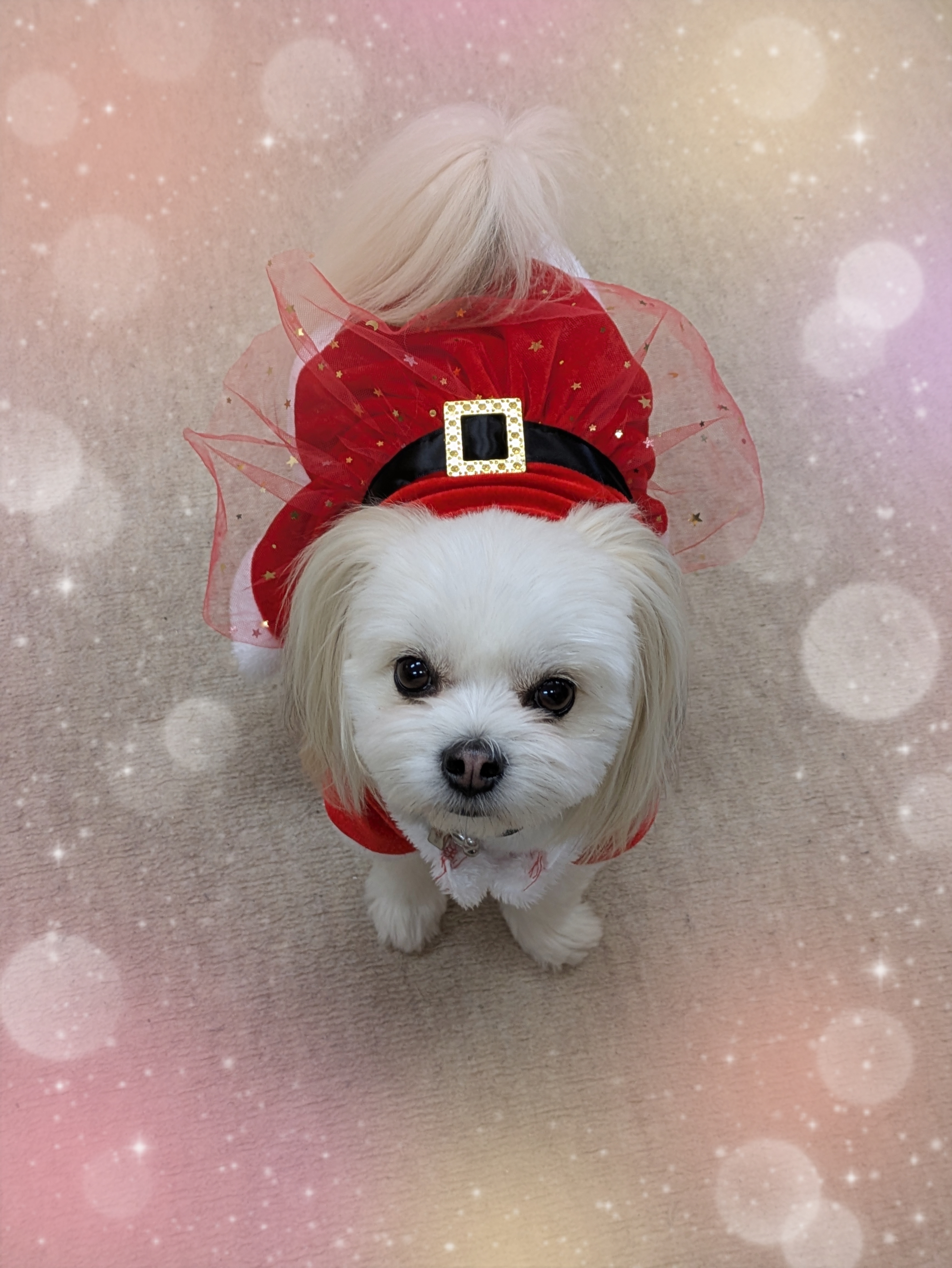 25-12-24-14-16-38-051_deco