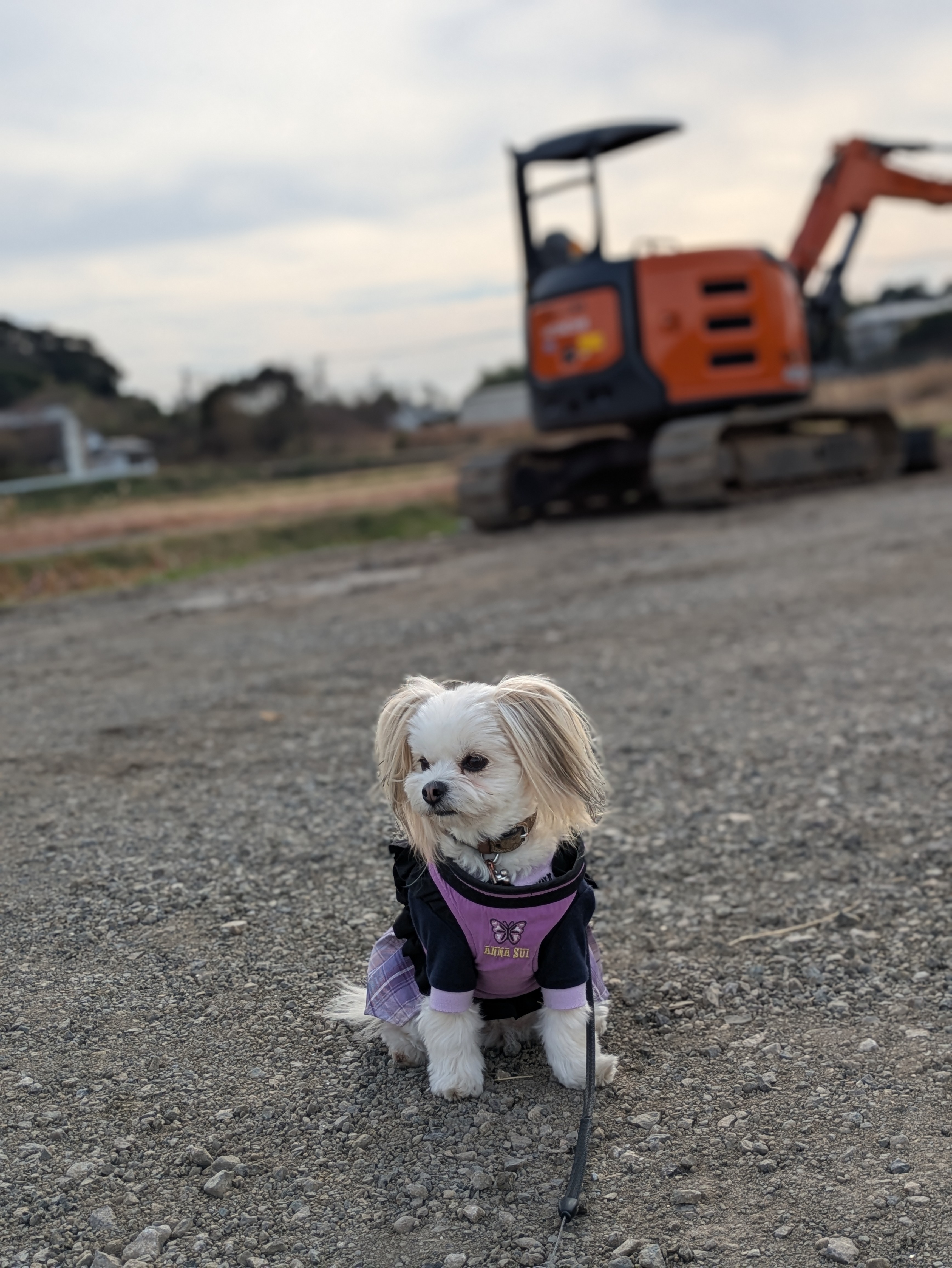 PXL_20251230_042557720.PORTRAIT